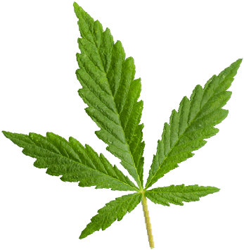 https://cannagarden.com.co/wp-content/uploads/2018/12/marijuana_leaf.png